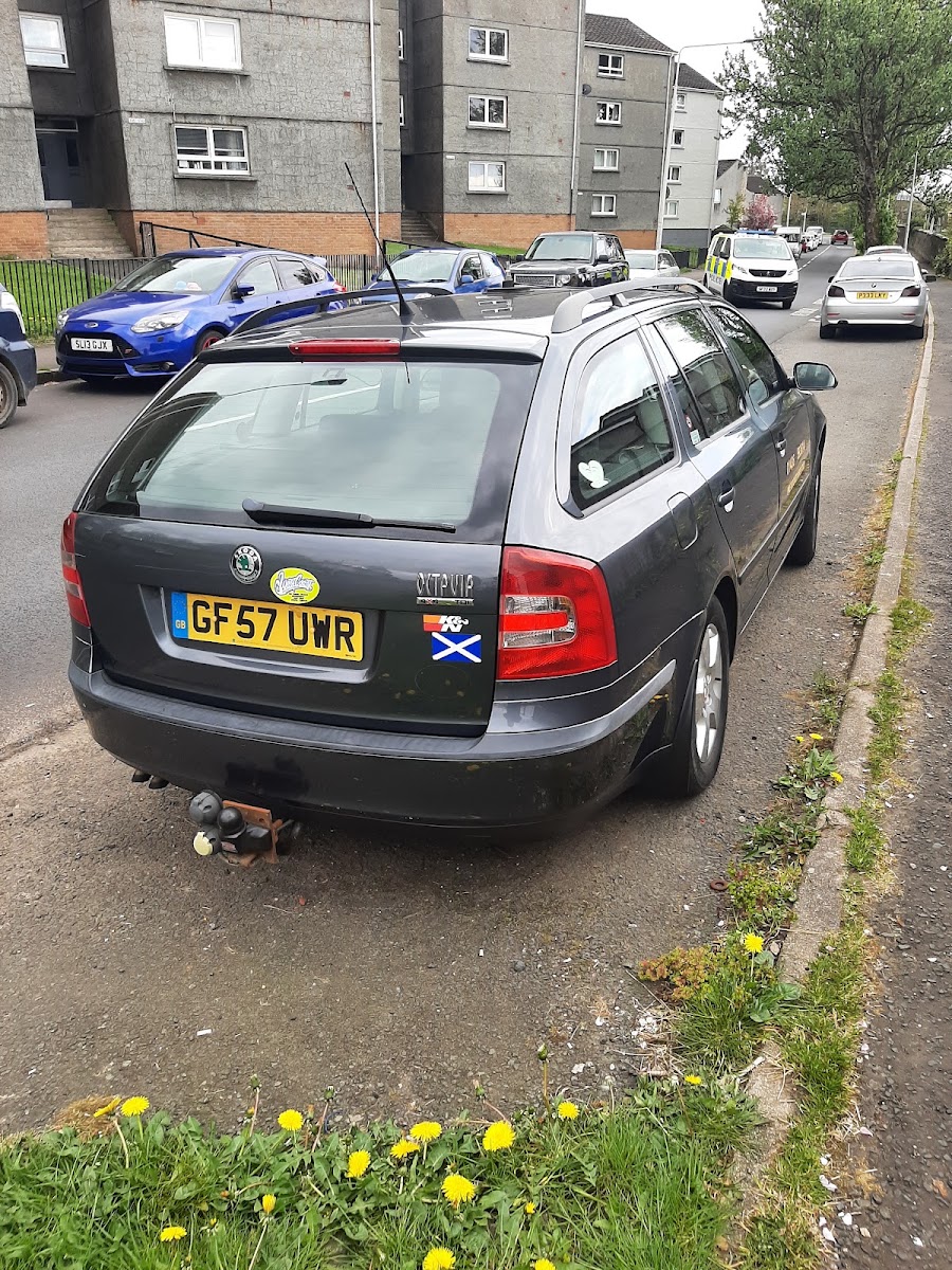 Skoda Octavia estate taxi, rear view